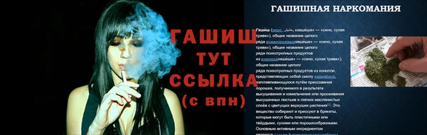 прущие крисы Белокуриха