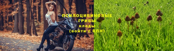 MDMA Зеленокумск