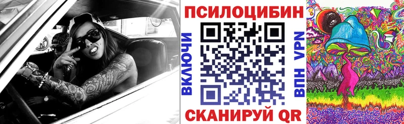 цены   Велиж  OMG как войти  Галлюциногенные грибы Cubensis 